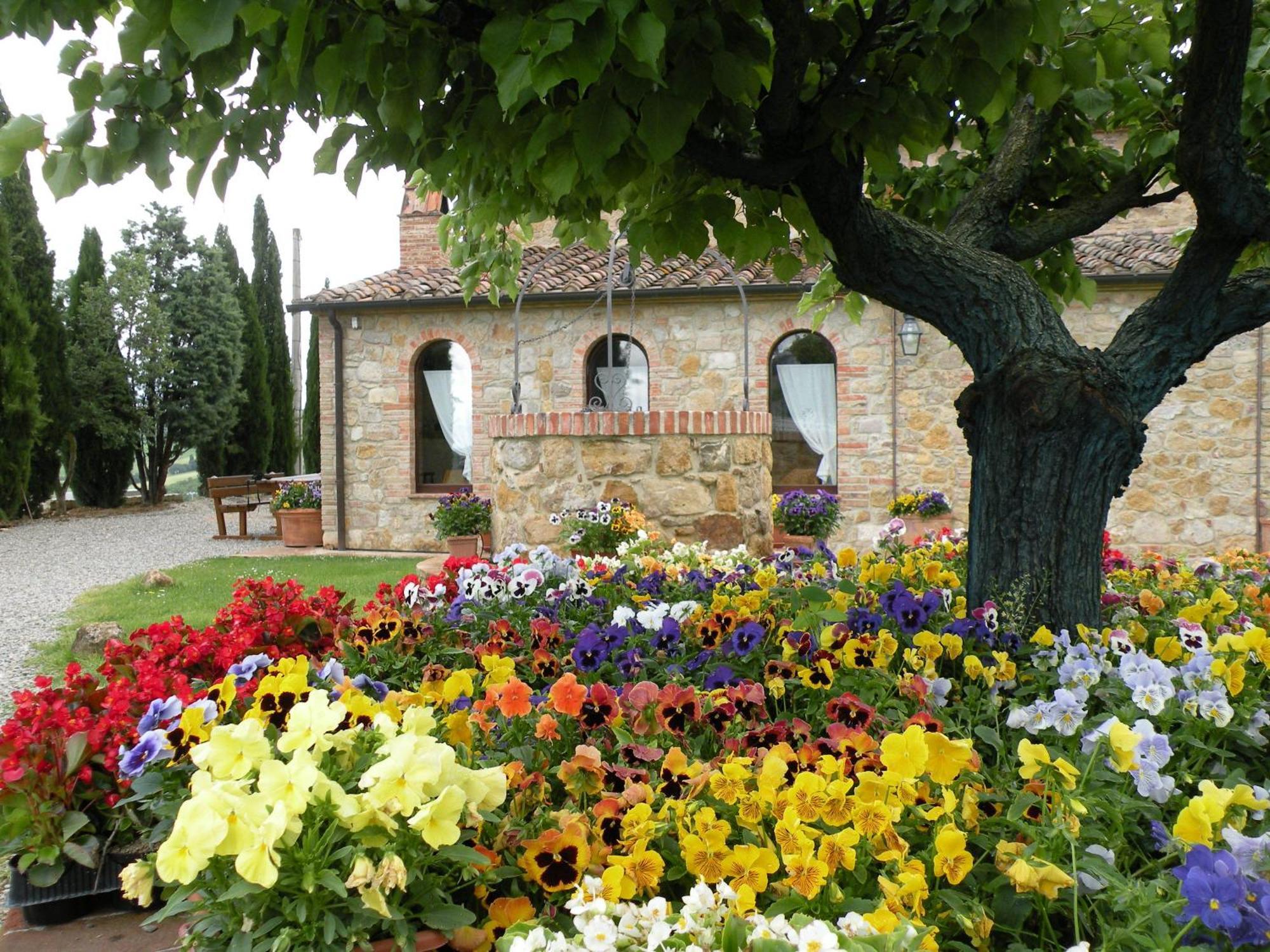 Agriturismo Bonello Pienza Exterior photo