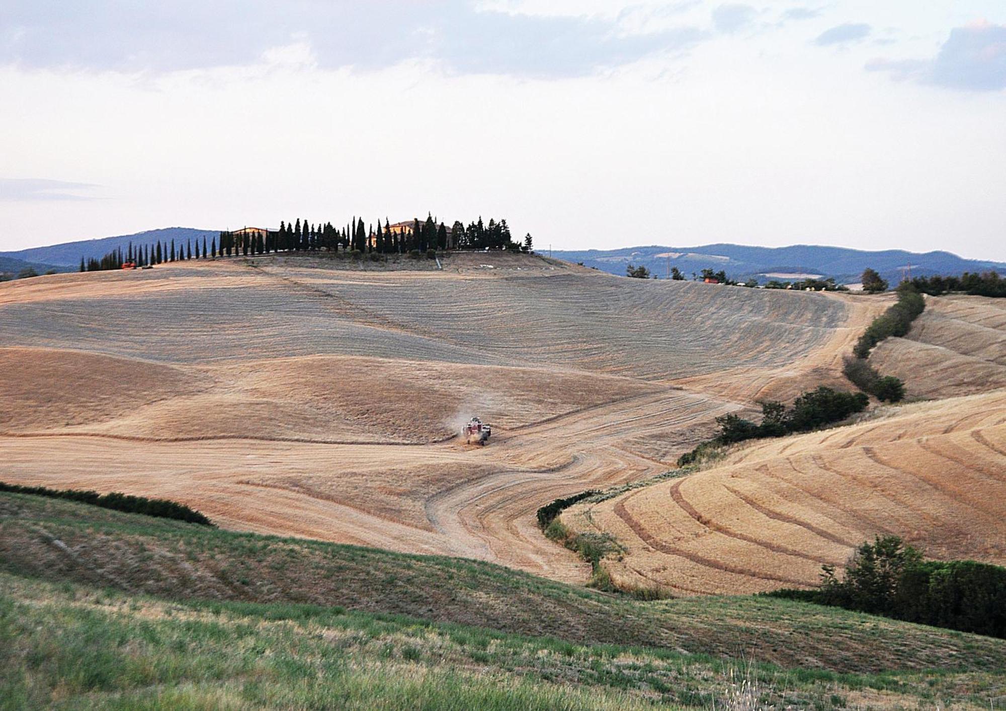 Agriturismo Bonello Pienza Exterior photo