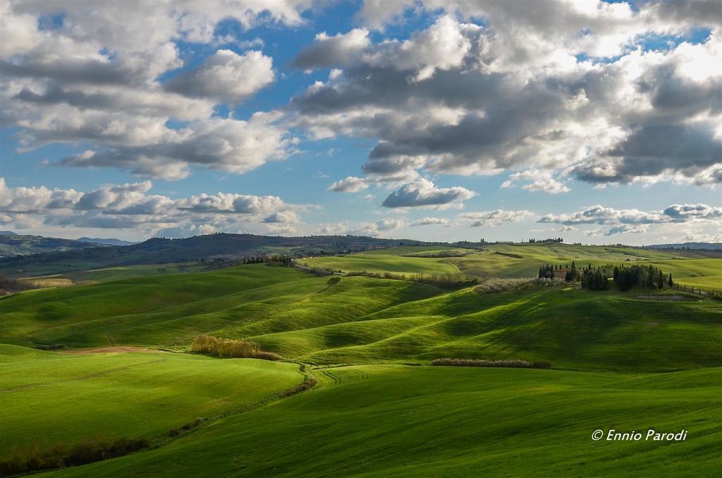 Agriturismo Bonello Pienza Exterior photo